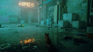 ОБЗОР Stray | СТРЕЙ ЛУЧШАЯ ИНДИ ИГРА | стрей игра про котика