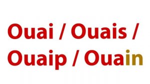 СУРОВЫЙ ФРАНЦУЗСКИЙ СЛЕНГ. Переписка, Верлан. ОЗВУЧИВАЕТ ФРАНЦУЗ!