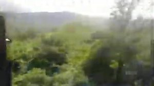 Расцветай под солнцем, Грузия моя