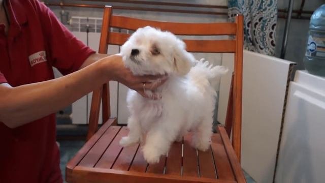 20141202151601 смотреть онлайн