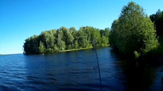Рыбалка на Шексне??? смотреть онлайн