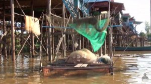 Water Village Boat Tour on Tonle Sap Lake - Siem Reap, Cambodia