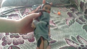 вещи для кукол монстер хай \ ведущая Клодин Вульф