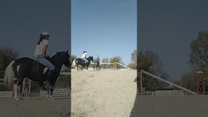 Заездка пони Бони/ Работа на корде с пони/ Тренировка без седла и уздечки