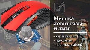 Одно решение для двух задач. Простой датчик газа и дыма и почти из ничего.