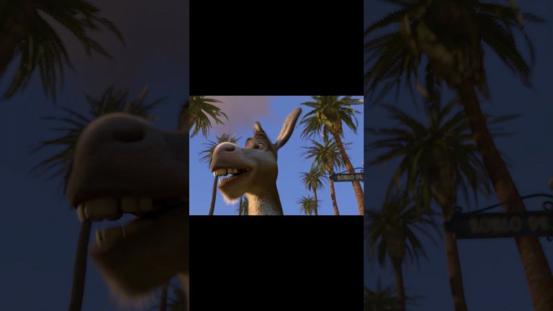 Amazing Shots of SHREK