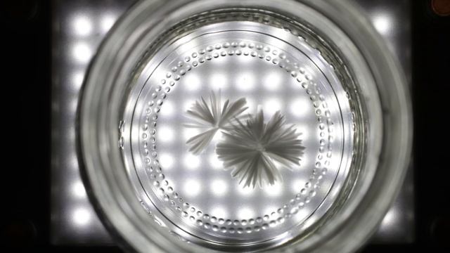 ГОРЯЧИЙ ЛЁД - Эксперимент в коробочке смотреть онлайн