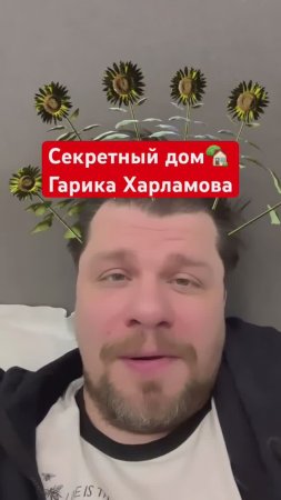 "ДОМИК" ХАРЛАМОВА: что на участке комика?