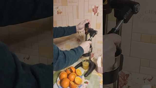 Соковыжималка пресс для цитрусовых