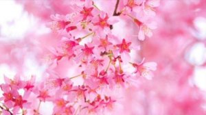 Abraham Hicks - Focus on Now, Not the End