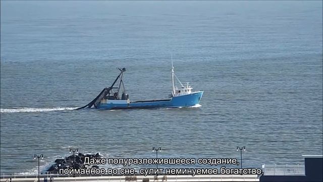К чему снится рыба? Толкование сна и его значение по сонникам Ванги и Миллера