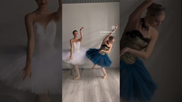 Балерины на встречу гостей. Балет на свадьбу. Show Dreams ballet. Шоу балерин в Москве. #шоу #balle