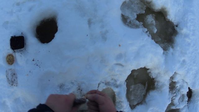 Добрались до заветного места.Хариусовые дуплеты радуют один за одним смотреть онлайн