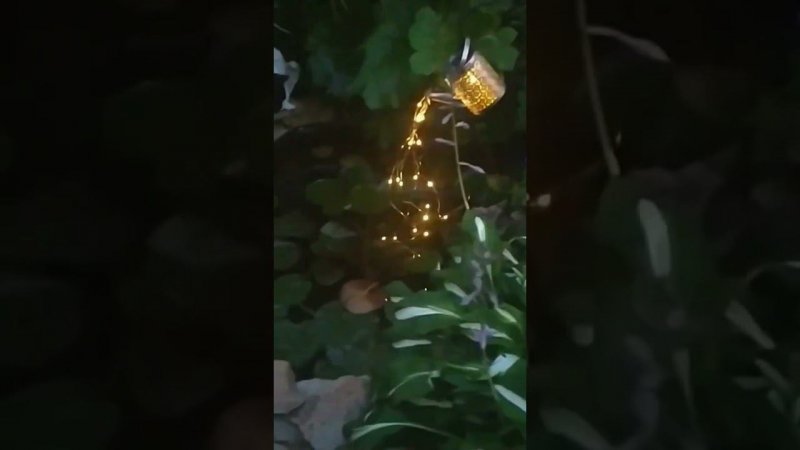 Светящаяся Лейка.