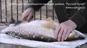 Преимущества рыбацкого ножа для рыбака. Компания "Русский булат"