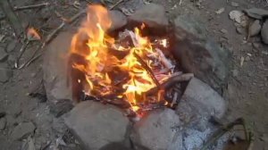 Primitive Technology- Wattle and Daub Hut