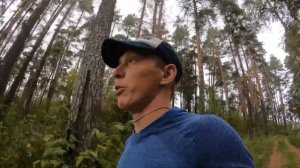 POLAR VANTAGE M: Мнение о спортивных часах