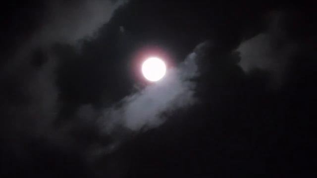 Камера - телескоп ! смотреть онлайн