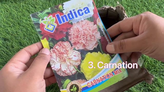 Unboxing Winter flowering seeds| Vegetables seeds | rainlilybulbs| Winter flowers смотреть онлайн
