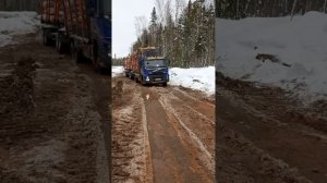 вольво лесовоз