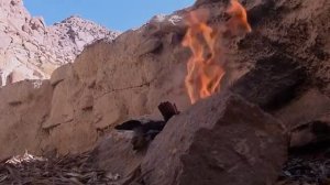 Старец Паисий Фильм 3й  Синайский отшельник