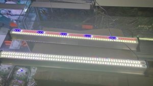 Светильник для аквариума Зелаква 100 см,LED