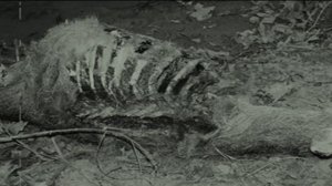 SCP-610-L4: Исследование тоннелей зоны А.