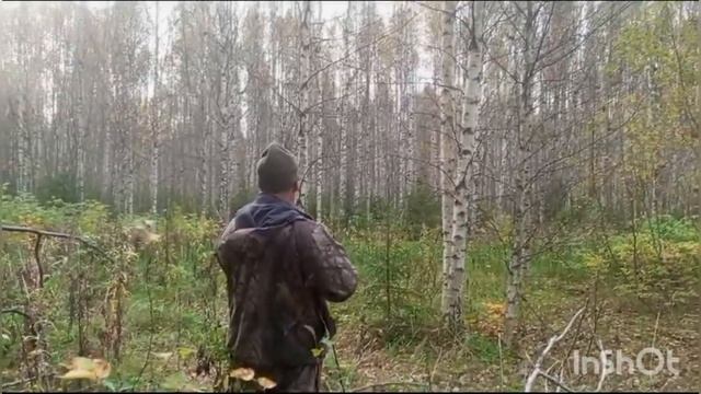 Охота на зайца с Тураноми Мечтой у Физули Исмайлова. смотреть онлайн