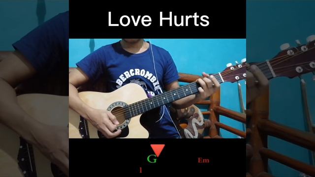 Love Hurts acoustic cover