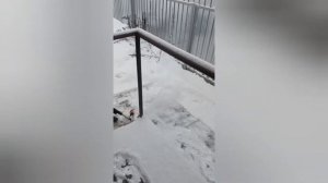 аккумуляторная лопата патриот переделка под аккумуляторы Макита и их аналоги.