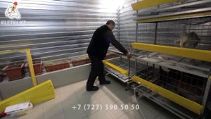 Клетки для содержания кур несушек, бройлеров.  kletki.kz