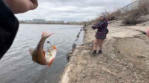 #4 Ловля рыбы на спиннинг г. Якутск