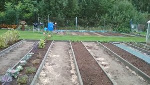 Огород моей мечты своими руками Ограждение грядок бетонными поребриками