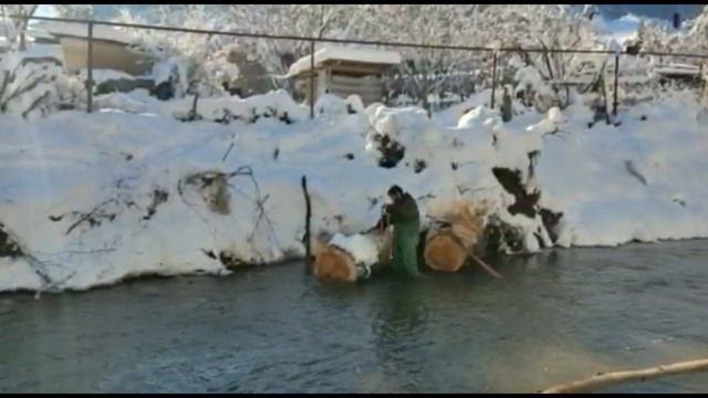 Мамонт в реке Бельбек!!! | Крым, п  Куйбышево | Спецтехника отдыхает! Вытащили тополь из реки сами.