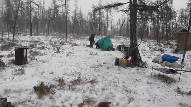 Промысловой сезон 2022-2023 смотреть онлайн