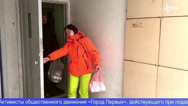Первоуральские эковолонтёры придут на помощь бездомным кошкам