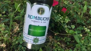 ‪🌱🌿🌼🌺🐛🦋🍵‬ ‪•G.T.'s Synergy Organic Vegan Raw Kombucha - 16 fl oz Bottle‬