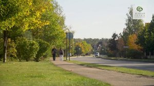 Посёлок Павлово: как он изменился за 15 лет после озеленения профессионалами