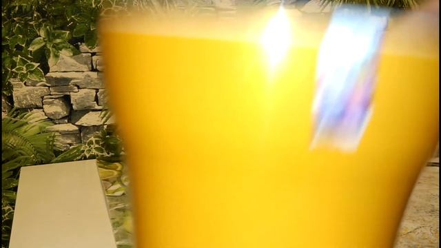 Как вырастить авокадо из косточки в домашних условиях!? смотреть онлайн