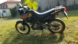honda dominator nx 650