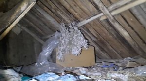 Чепыш Разносит Сарай. Ночная Атака. Chepysh Carries the Barn. Night Attack