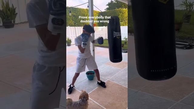 The dog the best part ??#boxing #motivation#hardwork#workout#punchingmachine#upcoming #athlete