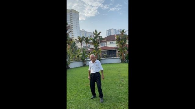 Shaolin Qigong - Part 3 少林气功内劲一指禅 功法