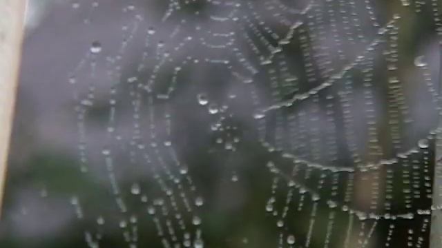 Когда потеряешь-поймешь смотреть онлайн