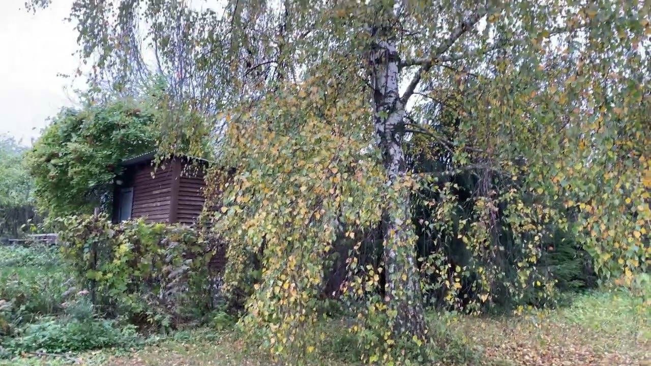 Мамоново 30.09.2022
