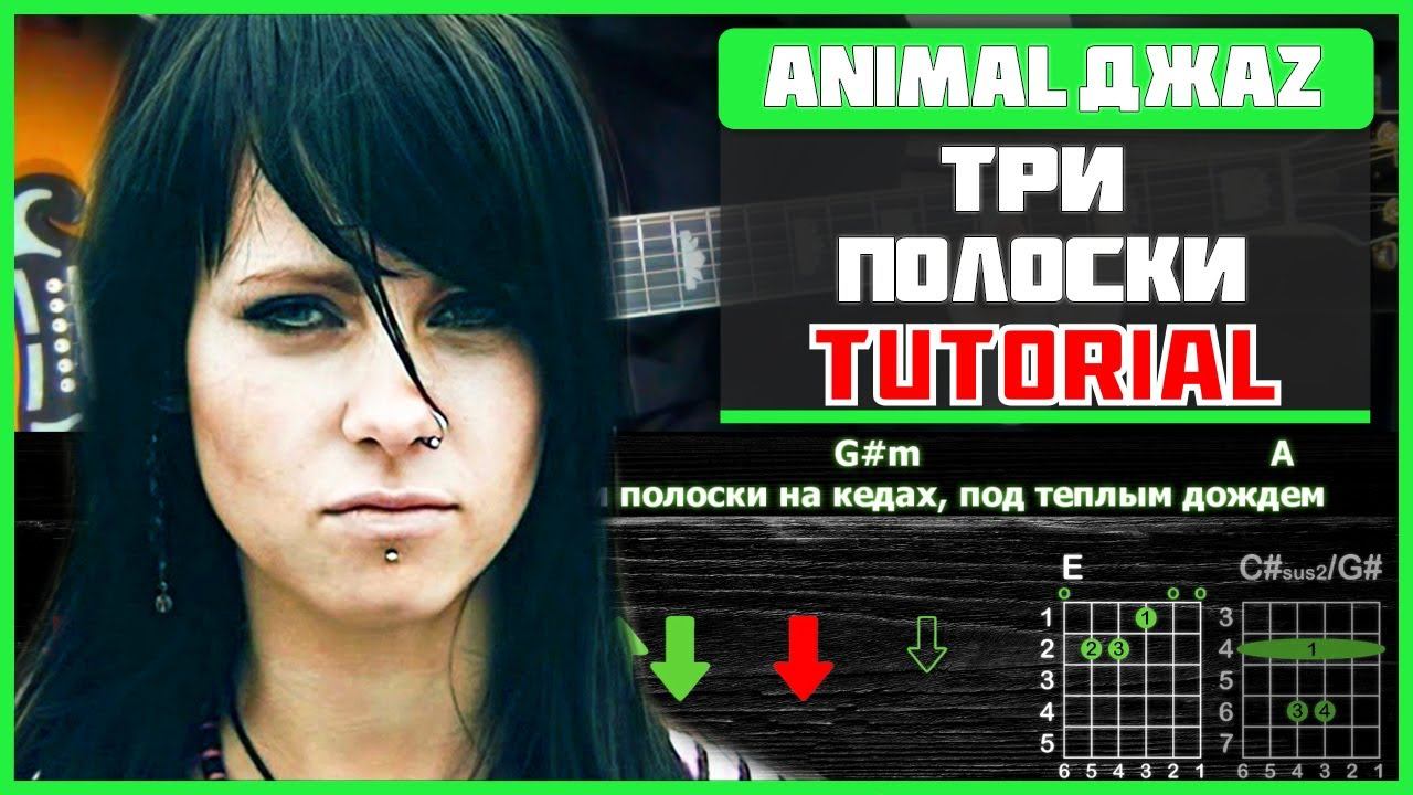 Песня полоски на кедах. Три полоски animal ДЖАZ. Джинсы порезаны лето три полоски. Три полоски табы. Анимал джаз три полоски.