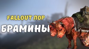 Брамины [Fallout Лор]