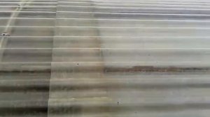 теплица, вместо плёнки: гибкий-прозрачный шифер