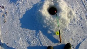 Зимняя рыбалка на море!!! Ловим корюшку зубатку, навагу!