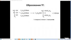 Лекция 3  ВЖК  Липиды  Фосфолипиды